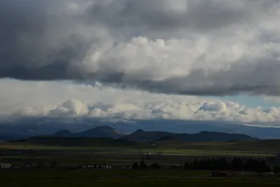 DSC_1028 (Large).JPG